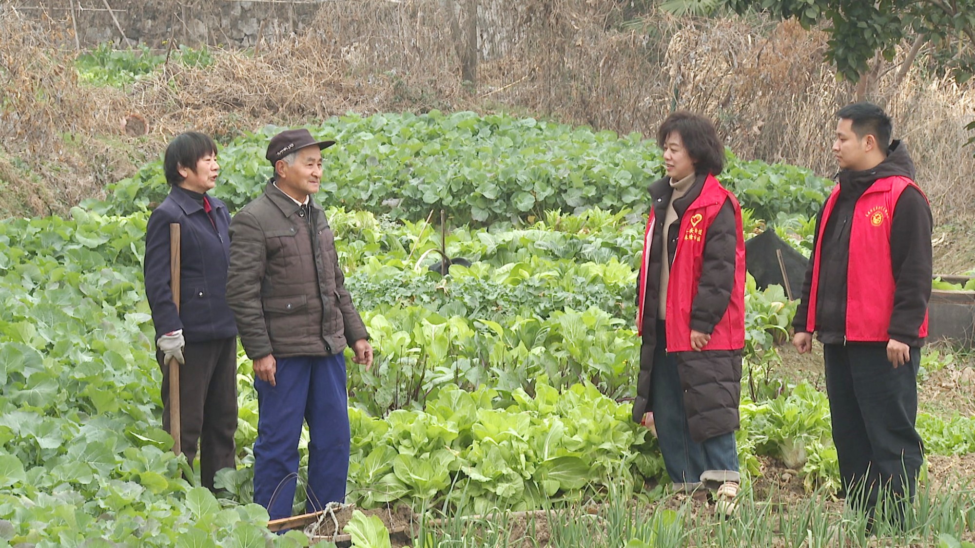 长安街道麻塘社区003_副本.jpg