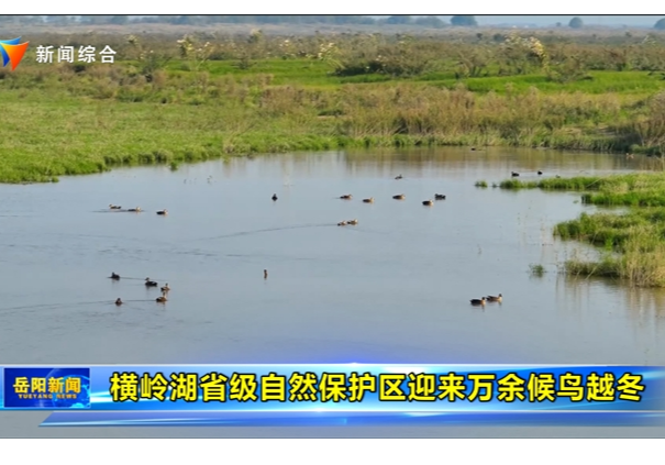 横岭湖省级自然保护区迎来万余候鸟越冬